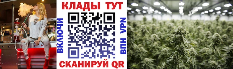 Виды наркоты Ершов COCAIN  Бошки Шишки 