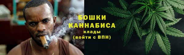ECSTASY Гусев