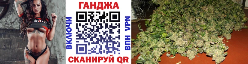 Шишки марихуана планчик  Ершов 